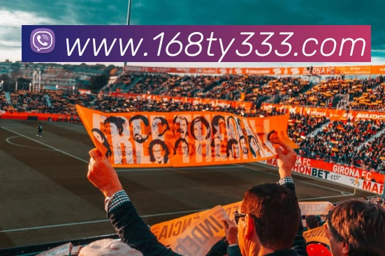 168体育平台生态图